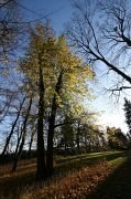 IMG_8677