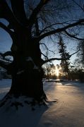 IMG_9503-2