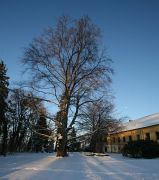 IMG_9507-2