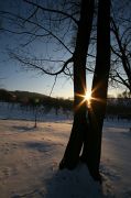 IMG_9521