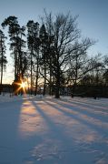IMG_9537