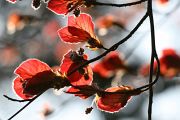 IMG_0893