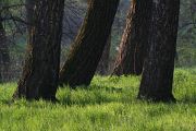 IMG_0910