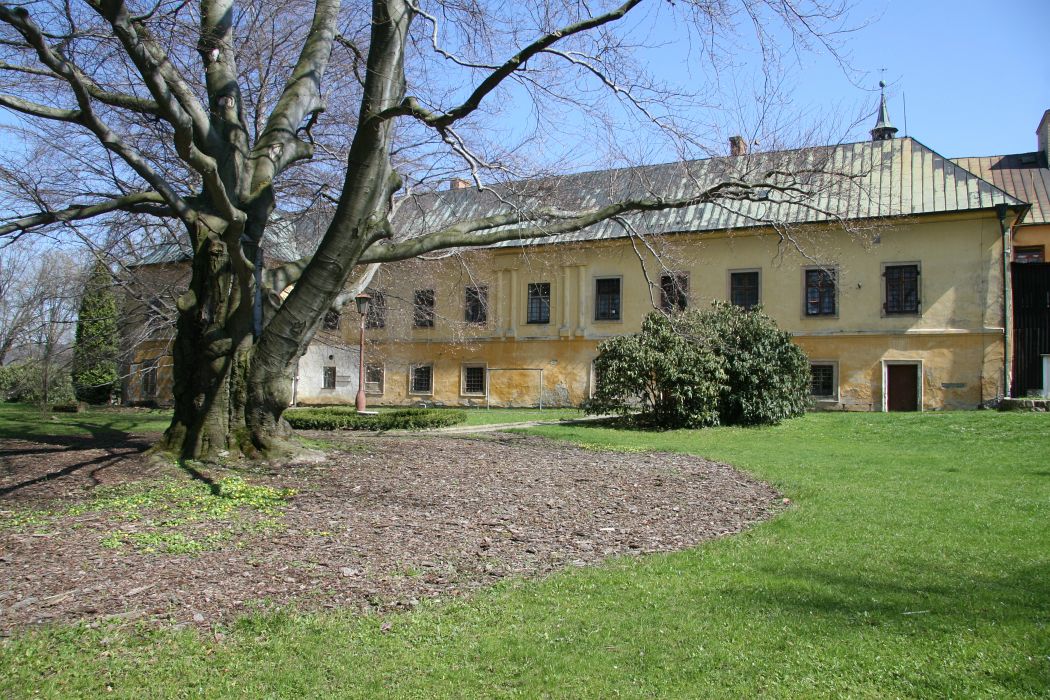 IMG_6664.JPG