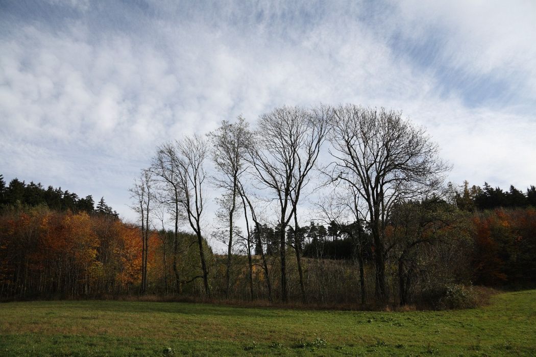 IMG_8636.JPG
