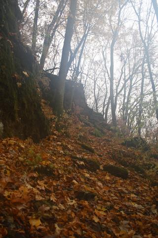 Moravsk Kras - Hmlist jesenn rno